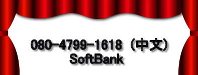   080-4799-1618  ()          SoftBank
